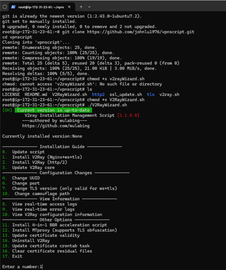 V2Ray Server